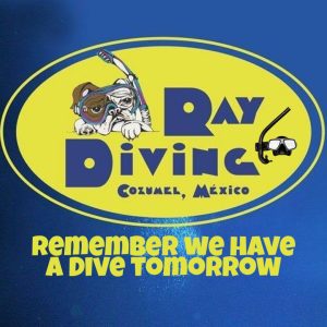 55503B66-0545-4887-A694-BB11CBB3065A (1)