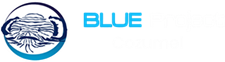 logo-blue-project-main (1)